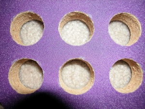 Click for an 800 x 600 image, or below for an even larger one!